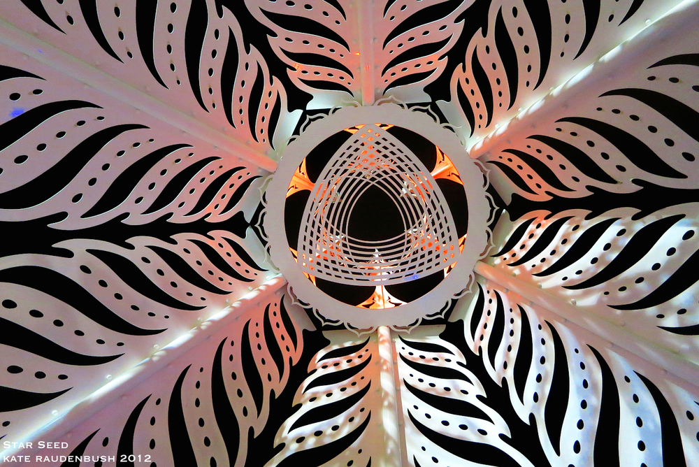 canopy+leaf+ceiling-white+light_3783+copy.jpg